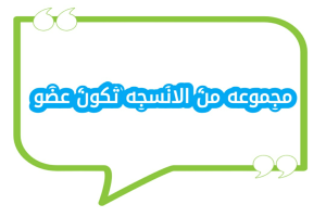 مجموعه من الانسجه تكون عضو