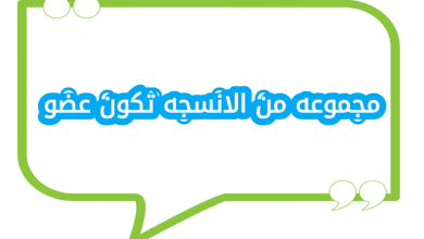 مجموعه من الانسجه تكون عضو