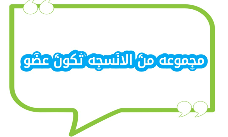 مجموعه من الانسجه تكون عضو
