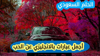 إليكم أجمل عبارات بالانجليزي عن الحب رسائل بالانجليزي عن الحب تويتر