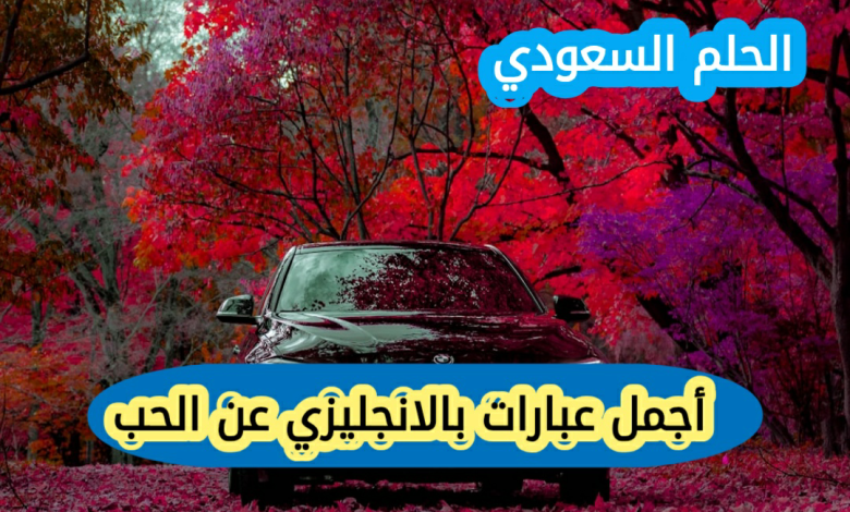 إليكم أجمل عبارات بالانجليزي عن الحب رسائل بالانجليزي عن الحب تويتر