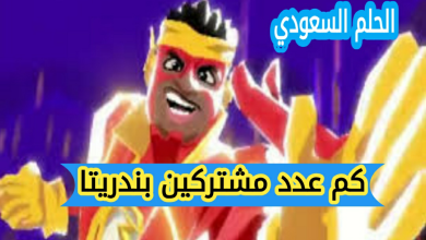 كم عدد مشتركين بندريتا في 2025