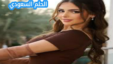 شمس الفارس ويكيبيديا