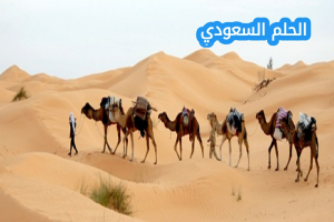 الغفيلي وش يرجع