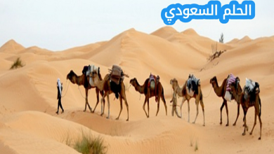 الغفيلي وش يرجع