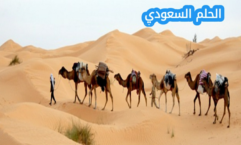 الغفيلي وش يرجع