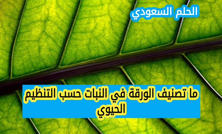 تصنيف الورقة في النبات حسب التنظيم الحيوي