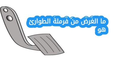 ما الغرض من فرملة الطوارئ هو
