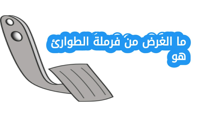 ما الغرض من فرملة الطوارئ هو