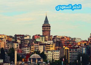 فتح السلطان …… القسطنطينية واتخذها عاصمة