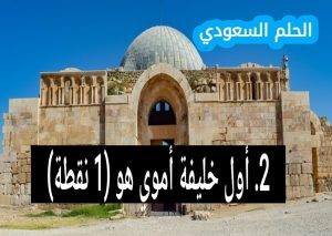 2. أول خليفة أموي هو