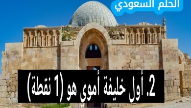 2. أول خليفة أموي هو