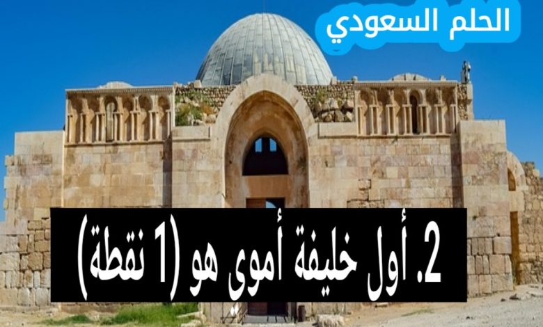 2. أول خليفة أموي هو