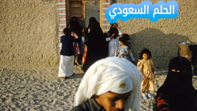 الشلوي وش يرجع؟ اصل قبيلة الشلوي ونسبها التاريخي