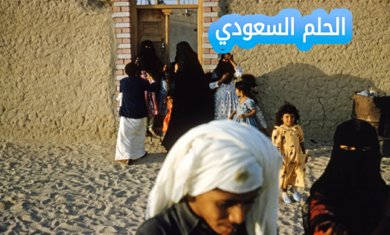 الشلوي وش يرجع؟ اصل قبيلة الشلوي ونسبها التاريخي