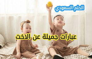 عبارات عن الأخت