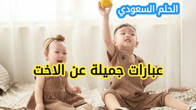 عبارات عن الأخت