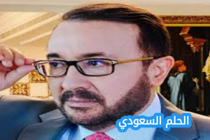 من هو ماهر شرف الدين