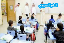 ما حقيقة اختلاط المدارس في السعودية