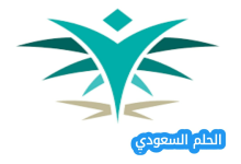 ما هو برنامج الدبلوم المشارك في الأكاديمية السعودية اللوجستية