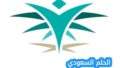 ما هو برنامج الدبلوم المشارك في الأكاديمية السعودية اللوجستية