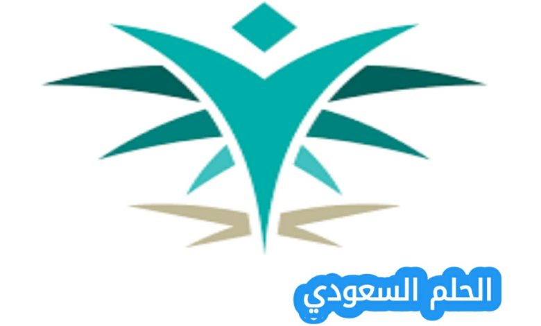 ما هو برنامج الدبلوم المشارك في الأكاديمية السعودية اللوجستية
