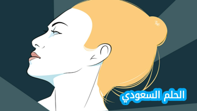 من هي سارة الخنيزان