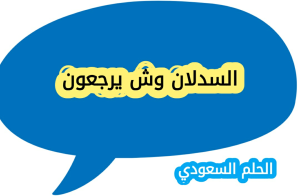 السدلان وش يرجعون؟ اصل عائلة السدلان ونسبهم الحقيقي