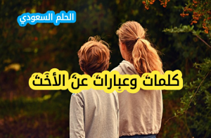كلمات عن الأخت الحنونة: وعبارات عن الأخت تويتر
