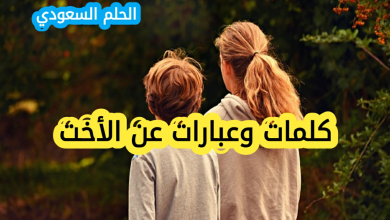 كلمات عن الأخت الحنونة: وعبارات عن الأخت تويتر