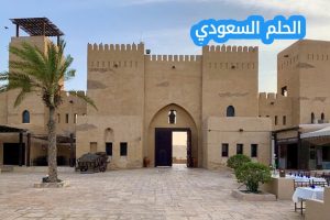 العقيلي وش يرجعون