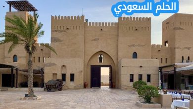 العقيلي وش يرجعون