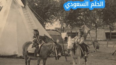 التركي وش يرجعون اصل عائلة
