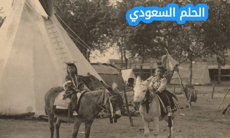 التركي وش يرجعون اصل عائلة
