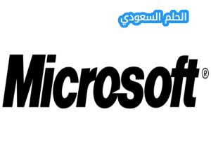 مفهوم التلقين في Microsoft Copilot