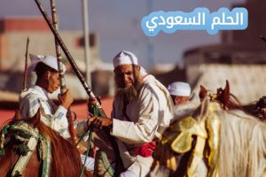أصل قبيلة المطرفي
