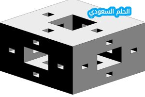 إنشاء تصميم ثلاثي أبعاد في برنامج تينكر كاد في ثلاث خطوات هي design ثم new ثم 3d design صح ام خطأ