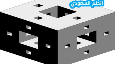 إنشاء تصميم ثلاثي أبعاد في برنامج تينكر كاد في ثلاث خطوات هي design ثم new ثم 3d design صح ام خطأ