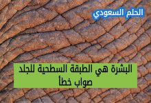 طبقات الجلد الأساسية