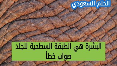 طبقات الجلد الأساسية