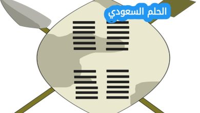 أصل ونسب البقمي