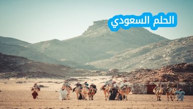 آل مكتوم وش يرجع