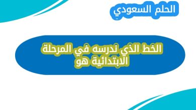 ما هو الخط الذي ندرسه في المرحلة الابتدائية