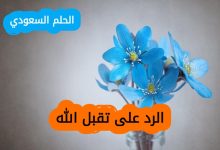الرد على تقبل الله