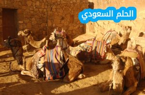 عائلة الشبانات