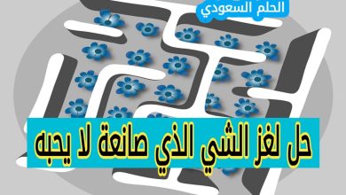 ما هو الشيء الذي صانعة لا يحبه والمشتري لا يستخدمه ومستخدمه لا يراه