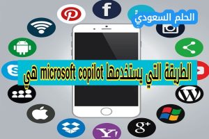 الطريقة التي يستخدمها microsoft copilot هي