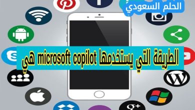 الطريقة التي يستخدمها microsoft copilot هي