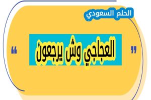 أصل ونسب عائلة العجاجي
