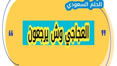 أصل ونسب عائلة العجاجي